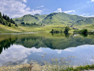Photo 1 de Col de Joux Plane