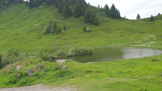 Photo 3 de Col de Joux Plane