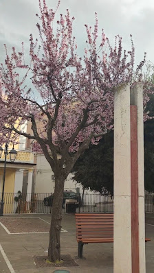 Photo 3 de Candela
