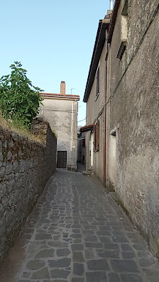 Photo 1 de Tortorella