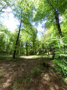 Photo 2 de Uitzi