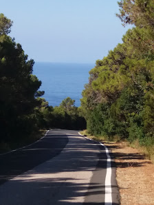 Photo 1 de Nibbaia