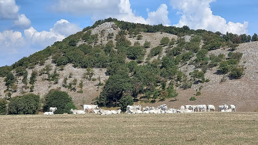 Photo 2 de Poggio San Romualdo