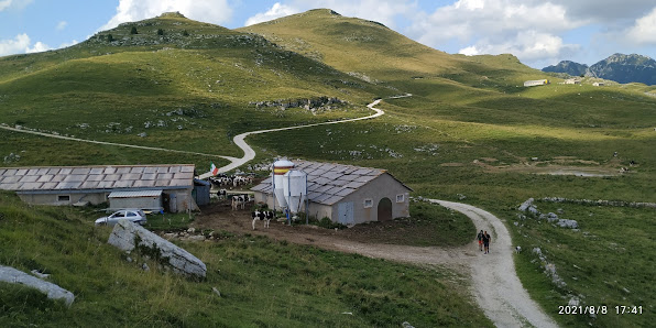 Photo 1 de Malga San Giorgio