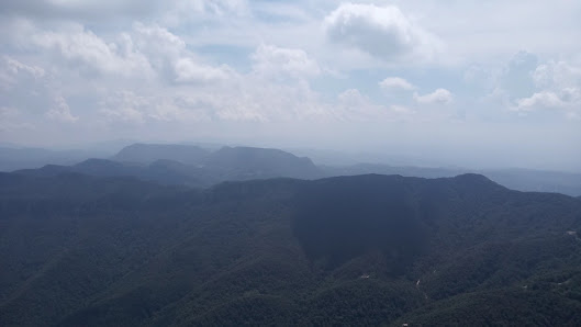 Photo 2 de Coll de Bracons