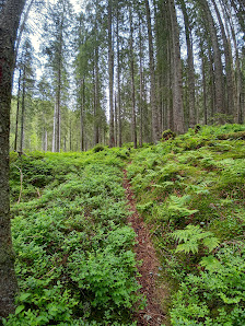 Photo 1 de Wenglihals