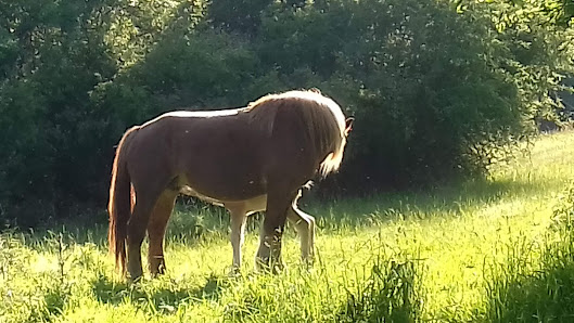 Photo 1 de Col de Buret