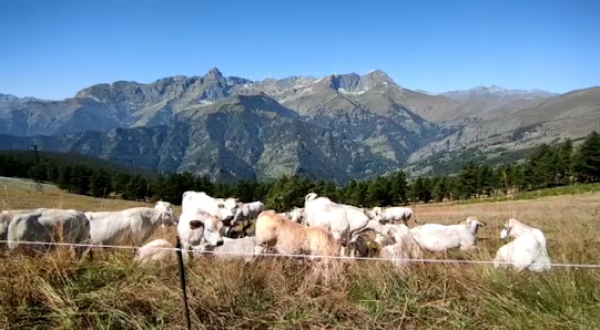 Photo 3 de Valle Bellino
