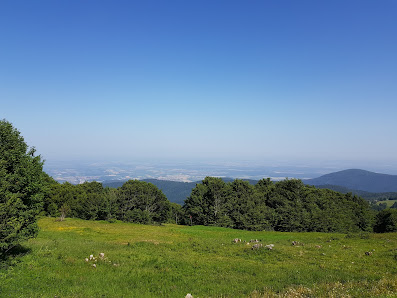 Photo 1 de Col du Grand Ballon