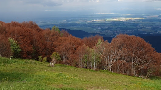Photo 3 de Col du Grand Ballon