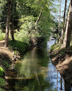 Photo 1 de Twin Peak