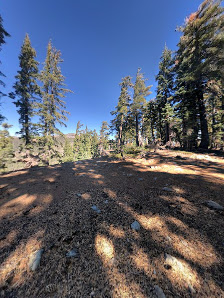 Photo 2 de Twin Peak