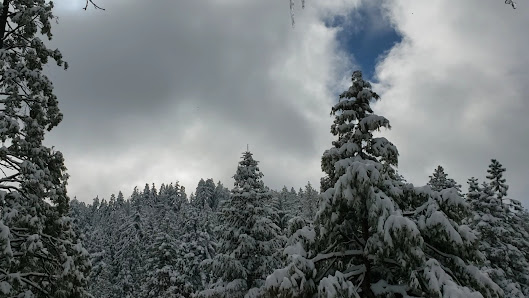 Photo 3 de Twin Peak