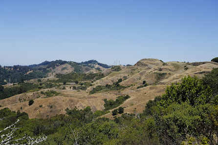 Photo 1 de Sibley Reserve