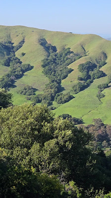 Photo 2 de Sibley Reserve