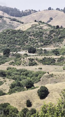 Photo 3 de Sibley Reserve