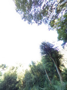 Photo 1 de San Pelaio