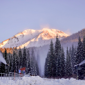 Photo 1 de Mt. Shasta Ski Park