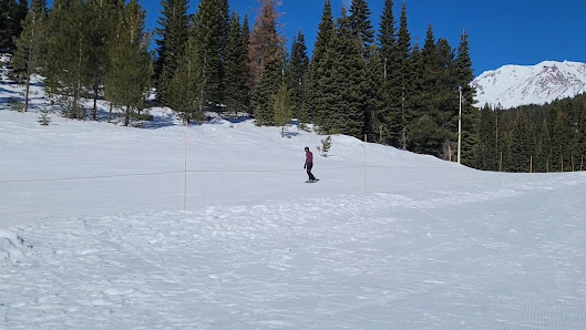 Photo 3 de Mt. Shasta Ski Park