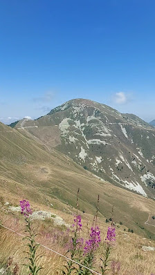 Photo 3 de Strada dei Cannoni