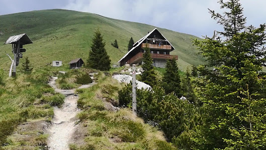 Photo 3 de Planina pod Golico