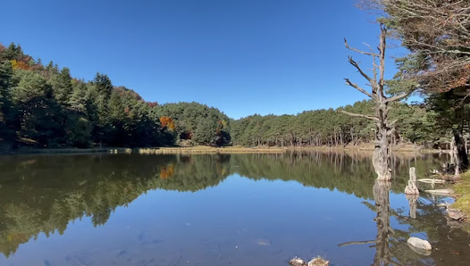 Photo 3 de Bassa d'Oles