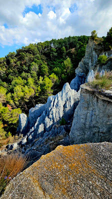 Photo 1 de Ribes Blaves