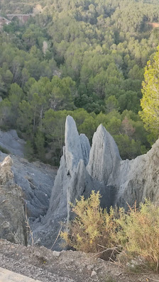 Photo 3 de Ribes Blaves