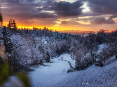 Photo 1 de Bühler Pass