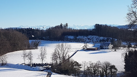 Photo 2 de Bühler Pass