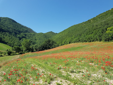 Photo 1 de Centare