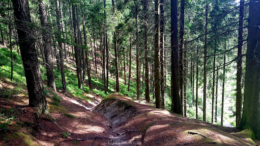Photo 1 de Côte de Longfaye
