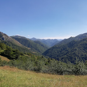 Photo 1 de Repenerencia