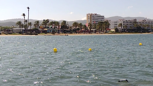 Photo 3 de Sant Antoni