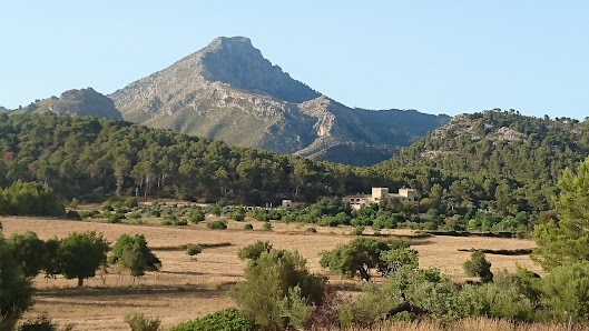 Photo 1 de Puig de Galatzó