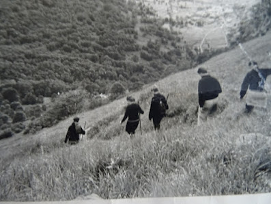 Photo 1 de Goulier - Endron