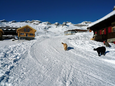 Photo 1 de Belalp