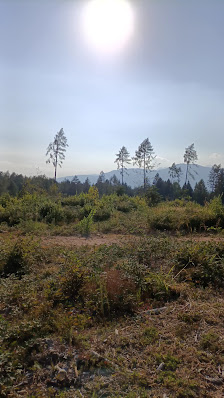 Photo 2 de Villaggio Pian del Gac