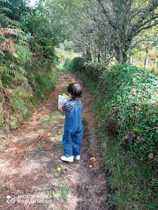 Photo 1 de Cillarga