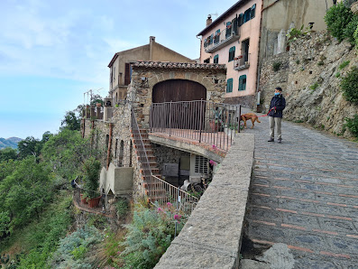 Photo 1 de Savoca