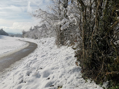 Photo 2 de Col du Berthiand