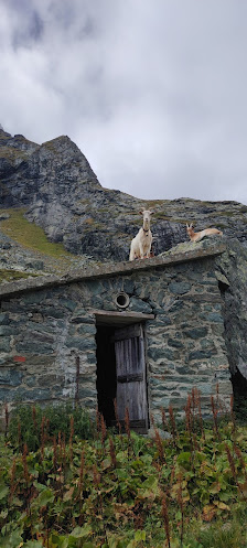 Photo 2 de Pian della Mussa