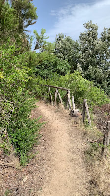 Photo 3 de Valico di Monte Rotaro