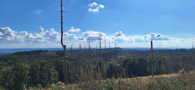 Photo 2 de Ravensberg