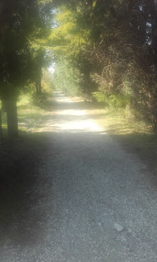 Photo 2 de Via del Pilastrino
