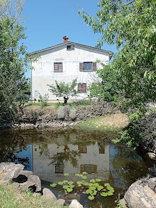 Photo 1 de Briz