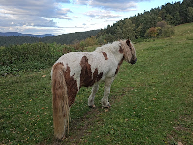 Photo 3 de Col de Fouchy