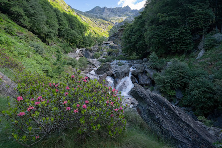 Photo 1 de Dosso del Liro