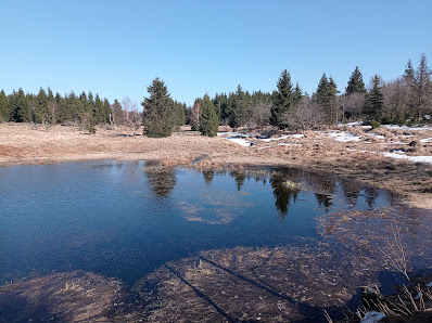 Photo 1 de Dlouha Louka