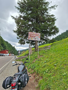 Photo 2 de Passo delle Palade